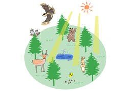 生态のイラスト