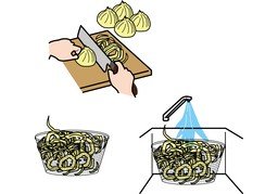 葱のイラスト