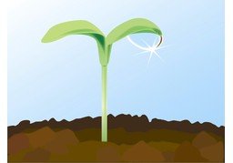萌芽のイラスト