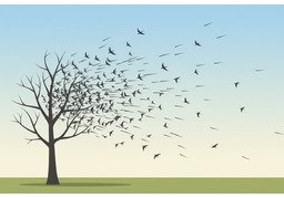 分散のイラスト