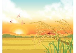 庄稼のイラスト
