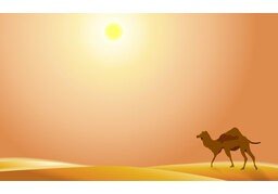 沙漠のイラスト