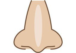 鼻子のイラスト