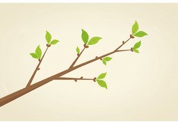 迹象のイラスト