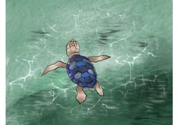 漂のイラスト