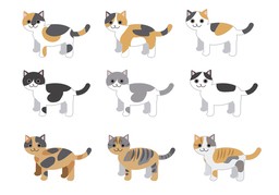 característicaのイラスト