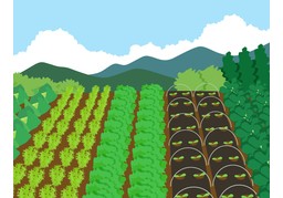 肥沃のイラスト