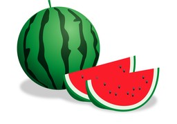西瓜のイラスト