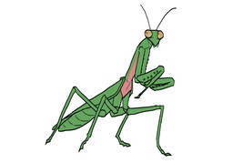 bichoのイラスト