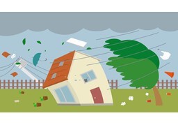 猛烈のイラスト
