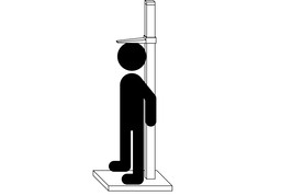 个子のイラスト
