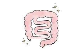 소화하다のイラスト