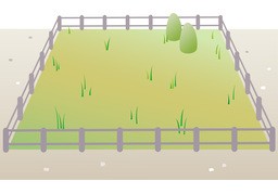 围のイラスト