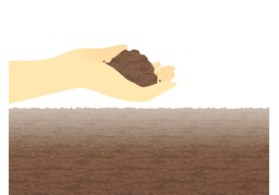 土壤のイラスト