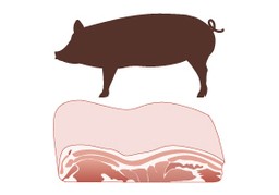 猪肉のイラスト