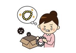 falsoのイラスト