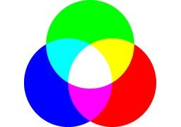 颜色のイラスト