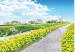 沿のイラスト