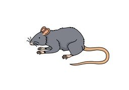 鼠のイラスト