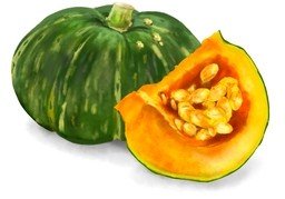 核のイラスト
