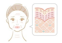 arrugarのイラスト