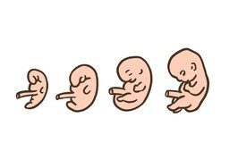 embriónのイラスト