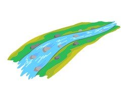 江のイラスト