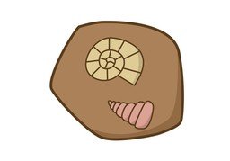 化石のイラスト