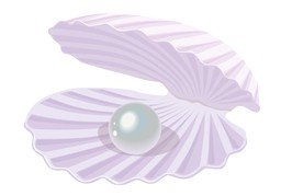 珠光のイラスト