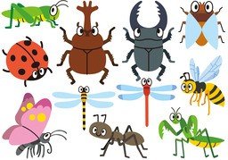Illustration for 虫子 (bug)