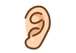 耳朵のイラスト