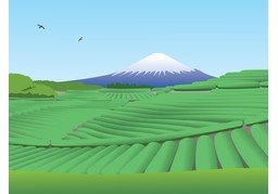 广大のイラスト