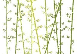 竹子のイラスト