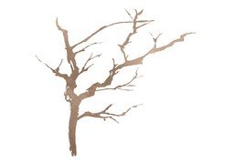 枝のイラスト